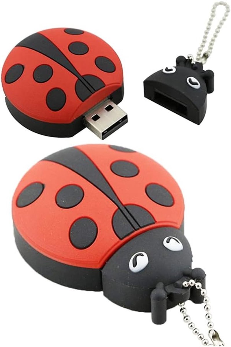 Geheugenstick Vorm - USB Stick Opslag - Bestanden Delen - Uniek Ladybug Design - 5 x 3 x 1 cm