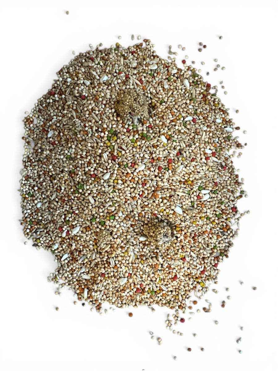 Parkietenvoer 2x 2kg - Kleine parkiet premium zaad & pellet mix