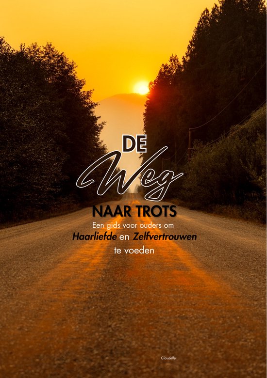 De weg naar trots - cover