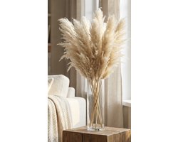 Pampas pluimen - XL Fluffy Pampas grass - 3 stuks - Beige - Naturel - Natuurlijk Bloemen