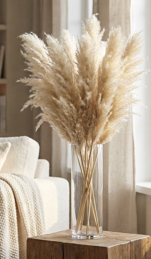 Pampas pluimen - XL Fluffy Pampas grass - 3 stuks - Beige - Naturel - Natuurlijk Bloemen