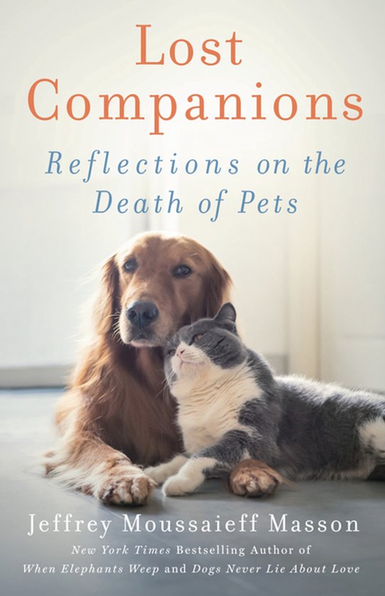 Lost Companions - cover