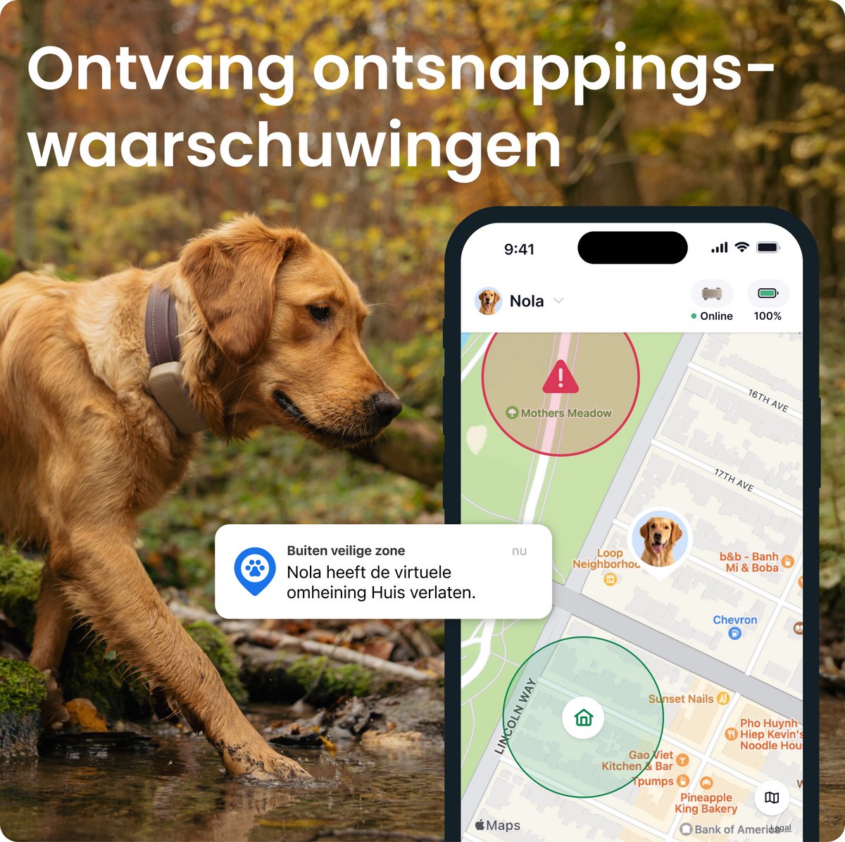 Tractive DOG 6 XL – Slimme gps-tracker voor honden met monitoring van vitale waarden en gezondheidswaarschuwingen, 6 weken batterijduur – Bruin thumbnail 3