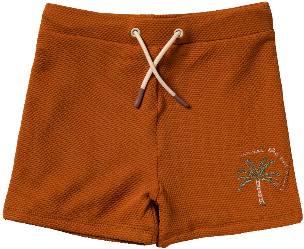 Solid | Swim Trunks