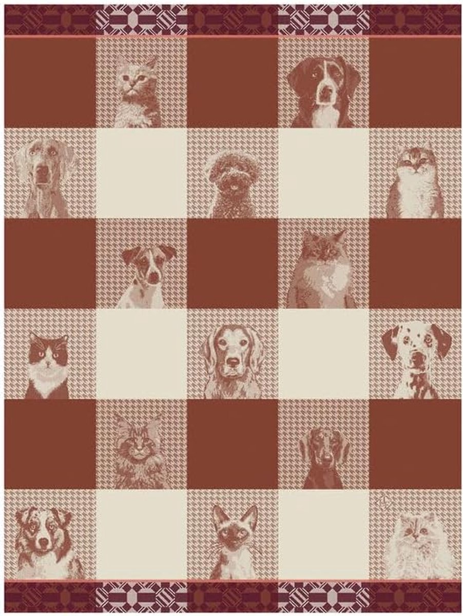 Theedoek Katoen - Keukendoek - Keuken Droog - Jacquard Geweven - 60x80cm - Bruin