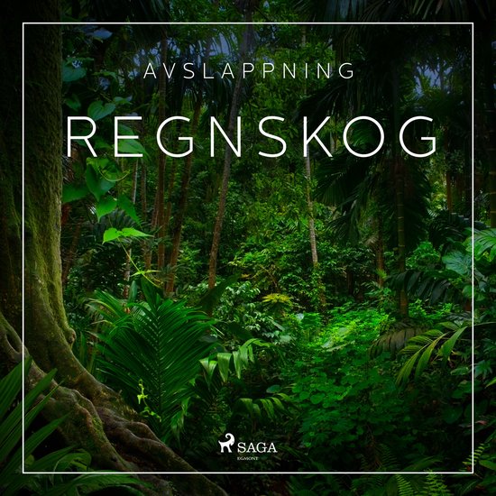 Avslappning - Regnskog - cover