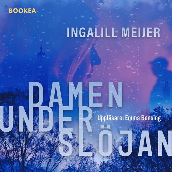 Damen under slöjan - cover