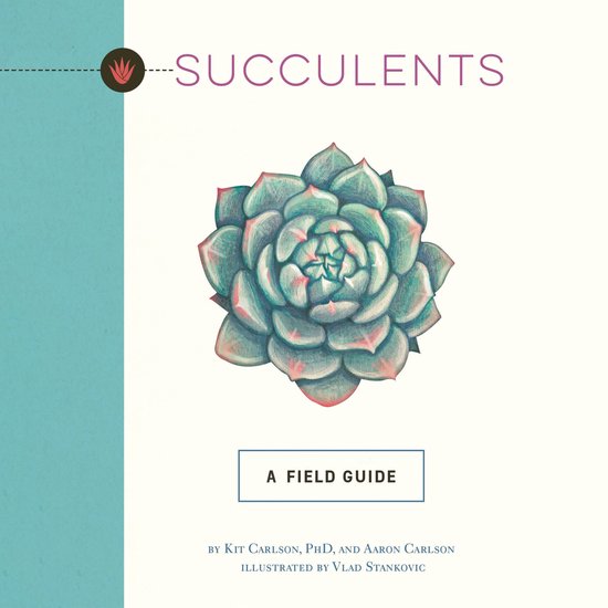 Succulents - cover