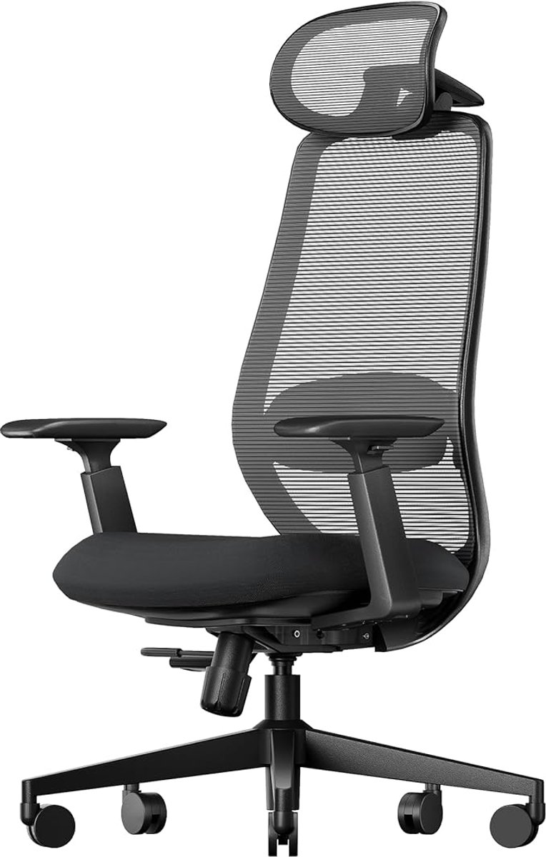 Remodius EC200 Ergonomische Bureaustoel met 3D Hoofdsteun - Remodius - €199,00