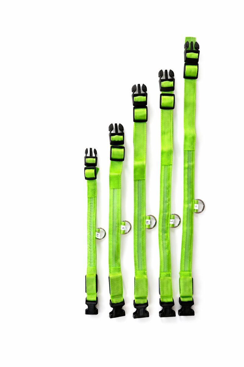 Max&Mand LED Hondenhalsband S Groen – USB Oplaadbaar – Verlichte Halsband Hond – Meerdere LED Kleuren – 4 Lichtstanden – Zichtbaar in Donker