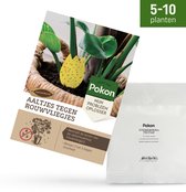 Pakket Pokon Aaltjes tegen rouwvliegjes met illustratie van larven, eitjes, pop en vlieg. Geschikt voor 5-10 planten.