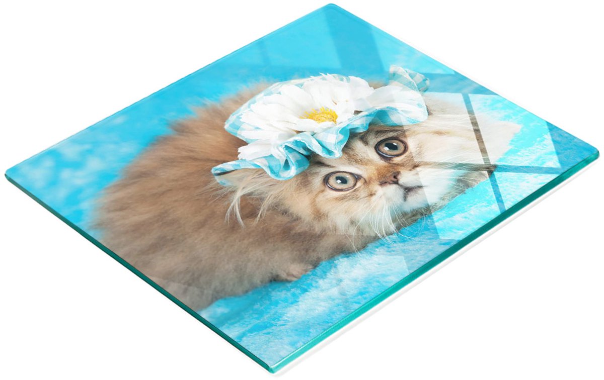 Decoratieve glazen plank met kattenafbeelding voor het serveren van snacks, 60x52 cm