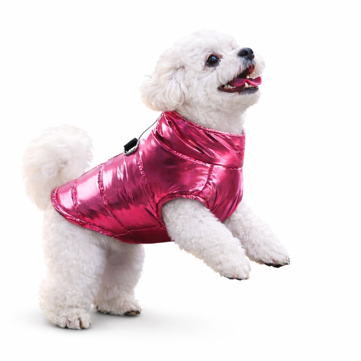 Aventrix Hondenjas Waterdicht – Regenjas Kleine Hond – Warme Puppy Jas – Metallic Roze - Maat S