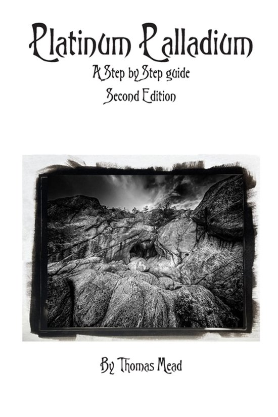 A guide to modern Platinum Palladium - cover