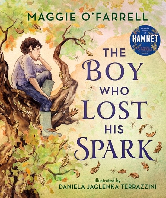 Boekomslag: "The Boy Who Lost His Spark" van Maggie O'Farrell, met een jongen die op een boomtak zit. Met illustraties van Daniela Jaglenka Terrazzini.