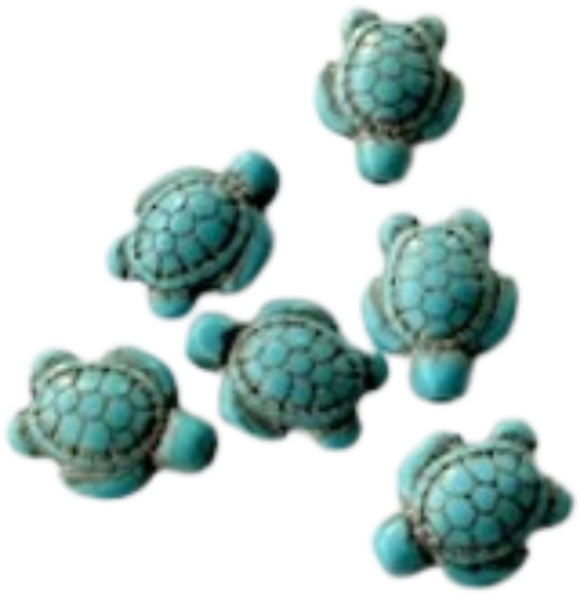 Turkoois/howliet kraal - edelstenen - schildpad - 6 stuks