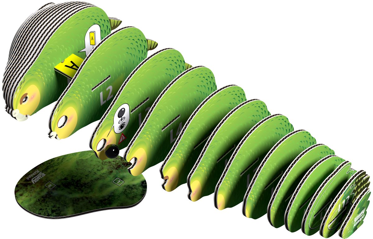 EUGY 3D Puzzel - Kakapo - Vogels - Duurzaam - Verzamel Ze Allemaal - 6 Jaar — afbeelding 7