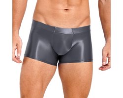 Glanzende Heren Boxershorts Dunne Nylon Slip Zwemshorts Gevoelige Onderkleding