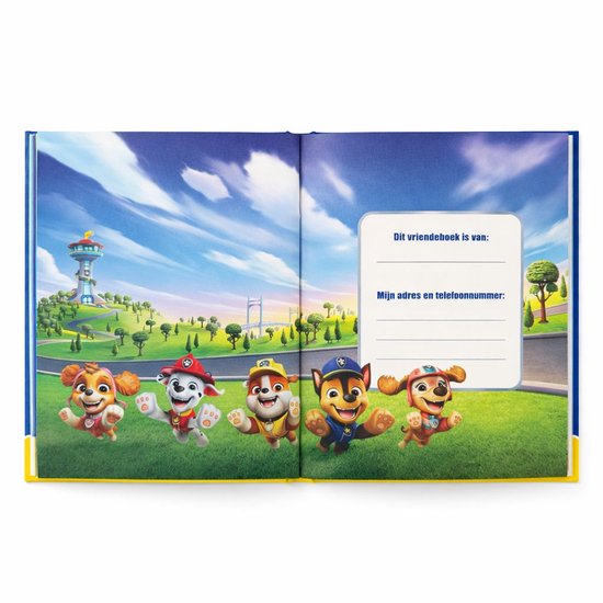Deel van een vriendenboek met de Paw Patrol pups rennend op groen gras onder een blauwe lucht.