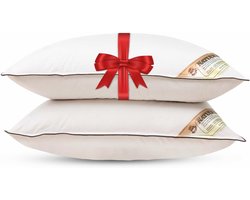 Set van 2 Kapok Kussens - Medium Stevigheid - 60x70 cm - 1000g - Voor Koel en Comfortabel Slapen