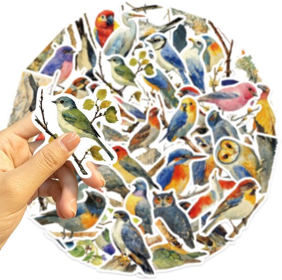 Een hand houdt een groene vogelsticker met tak en blaadjes vast voor een grotere collage van vogelstickers.