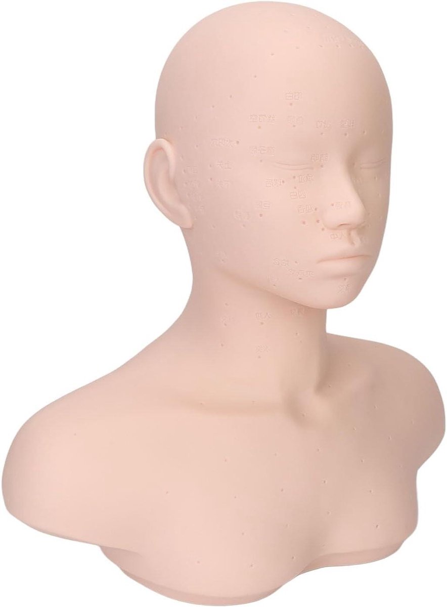 Oefen Mannequin Kop met Schouder voor Massage en Acupunctuur - PVC Rubbermodel voor Vaardighedenontwikkeling met Realistische Uitstraling