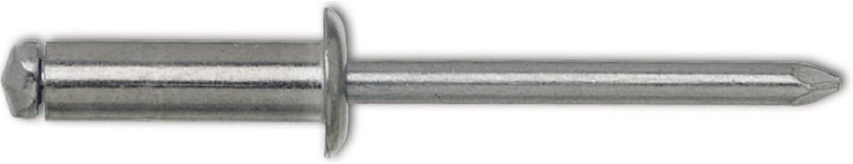 Blinde Klinknagels Aluminium/Staal Platte Kop 4,8 x 12 mm (500 stuks)