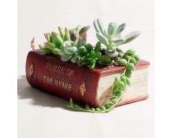 Foto: 