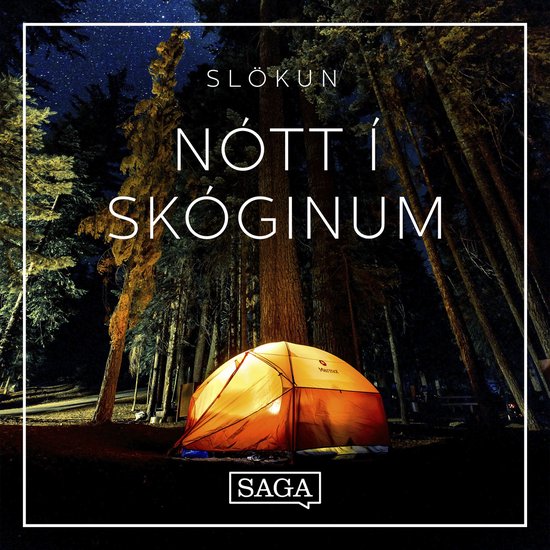 Nótt í skóginum - cover