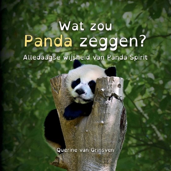 Wat Zou ... Zeggen?- Wat zou Panda zeggen? - cover