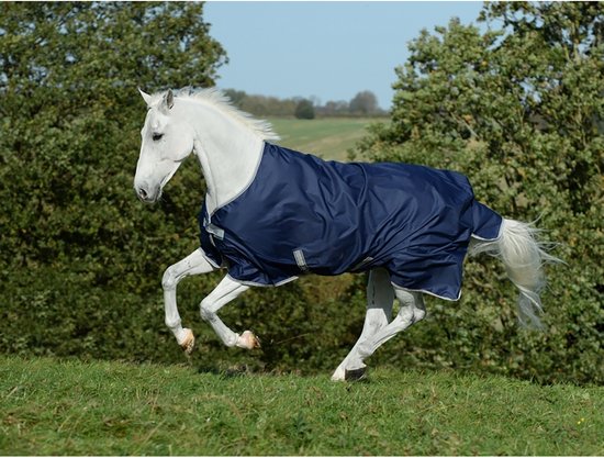 Wit paard met een donkerblauwe Bucas deken met zilveren bies, rent door groen gras.