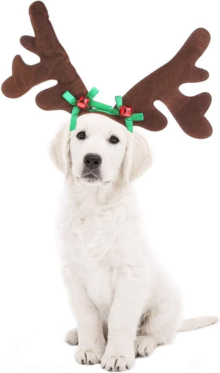 Kerst Kostuum voor Honden: Rendier Gewei Hoofdband voor Feestdagen