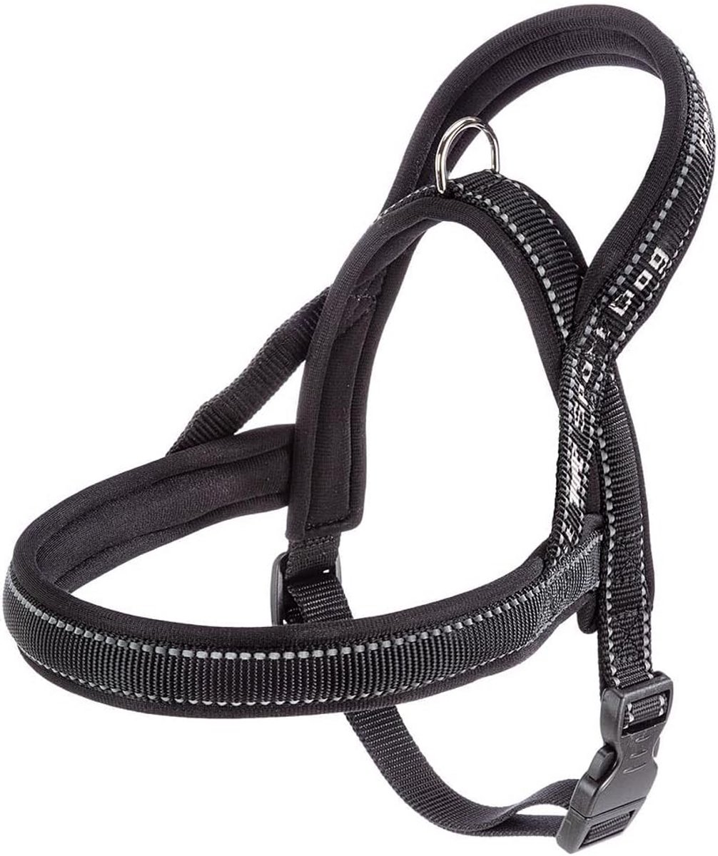 Hondentrainer Halsband voor Trainingsdoeleinden