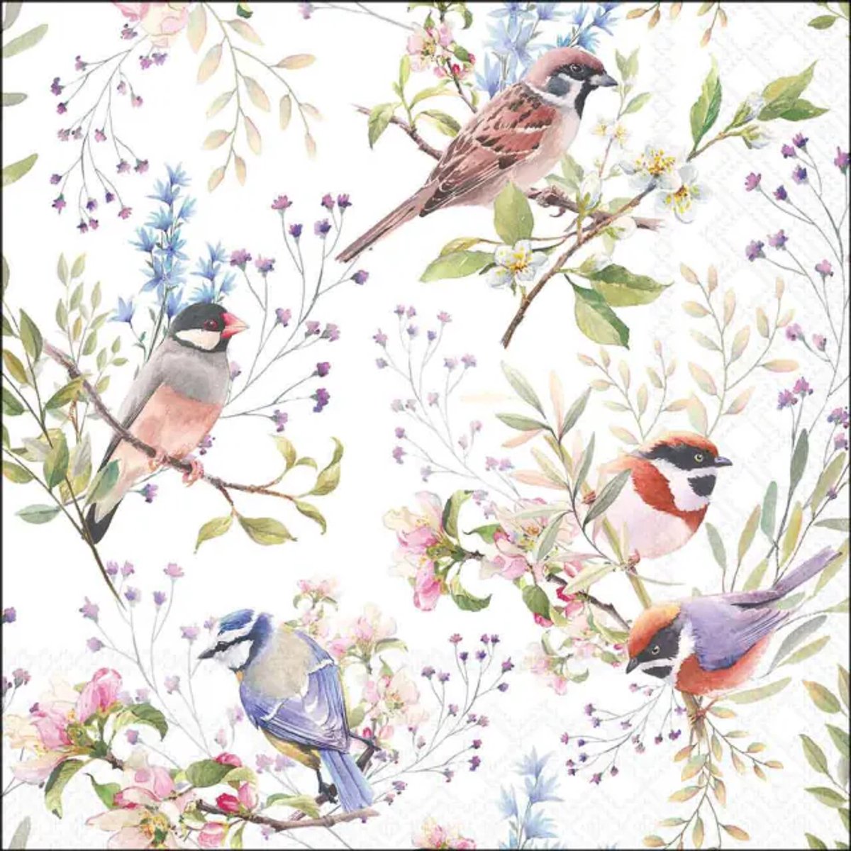 Ambiente - Servetten - 33x33 cm - Busy Birds