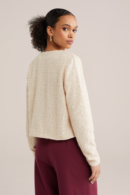 Trui Vrouwen Pailletten Bedrukt Tops Lange Mouw Ronde Hals T-Shirt Top Feestelijke Blouseshirt Glitter Top Vrije Tijd Comfortabel Ademend Lange Mouw Sweatshirt Zonder Capuchon Sweat, Ad., XXL