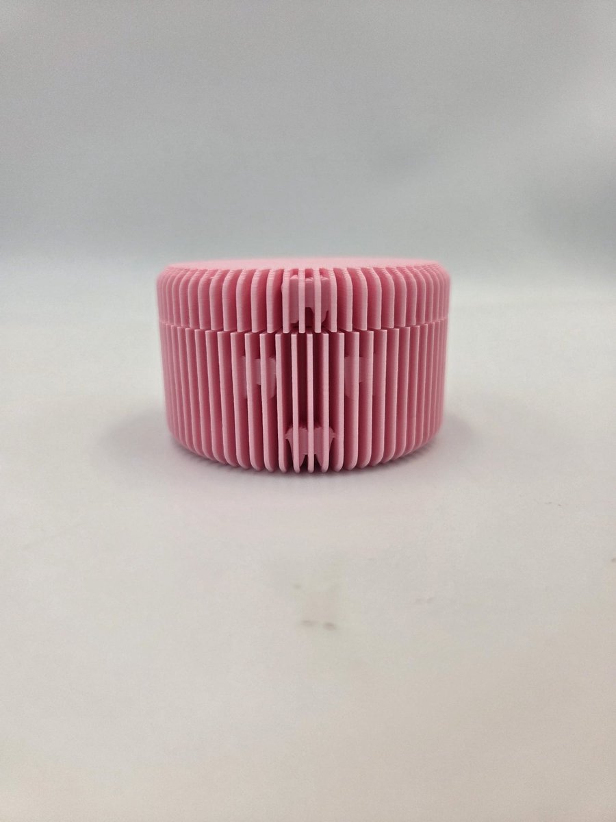 Melktandendoosje - met details - roze