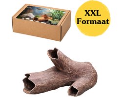 Aquarium Decoratie XXL Boomstam Grot – Grote Houtlook Aquarium Cave met Meerdere Ingangen – Schuilplaats voor Vissen, Garnalen & Pleco – Natuurlijke Aquarium Inrichting 15x12x20,9 cm