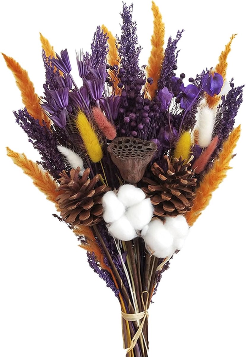 Gedroogd Bloemenboeket - Mixboeket Natuurlijk - Interieur Decoratie - Natuurlijke Materialen - 55 cm - Multicolor