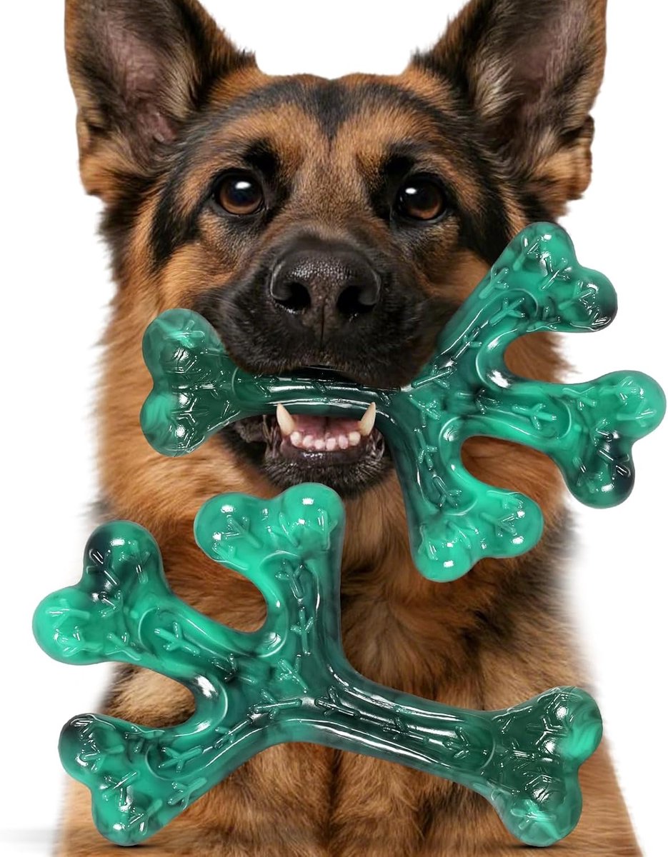 Honden Speelgoed - Kauwspeelgoed - Sterke Bijters - Duurzaam Nylon Materiaal - 12x11x17cm - lila