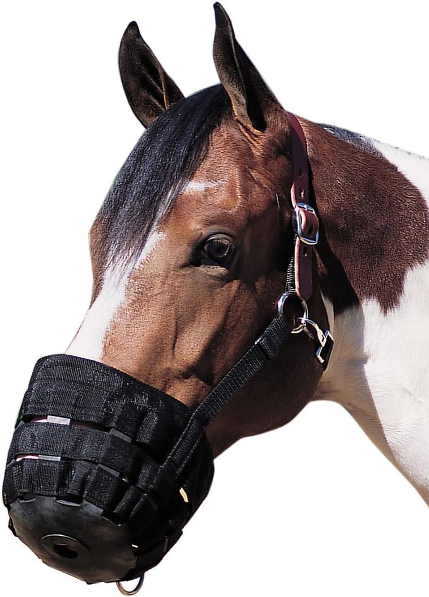 Paarden Muilkorf - Grazing Muzzle - Dieet Beheer - Neopreen Voering - Groot Formaat - Zwart