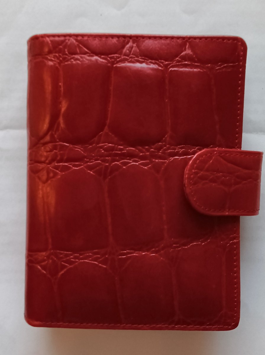 Succes Agenda Modena Rood mini