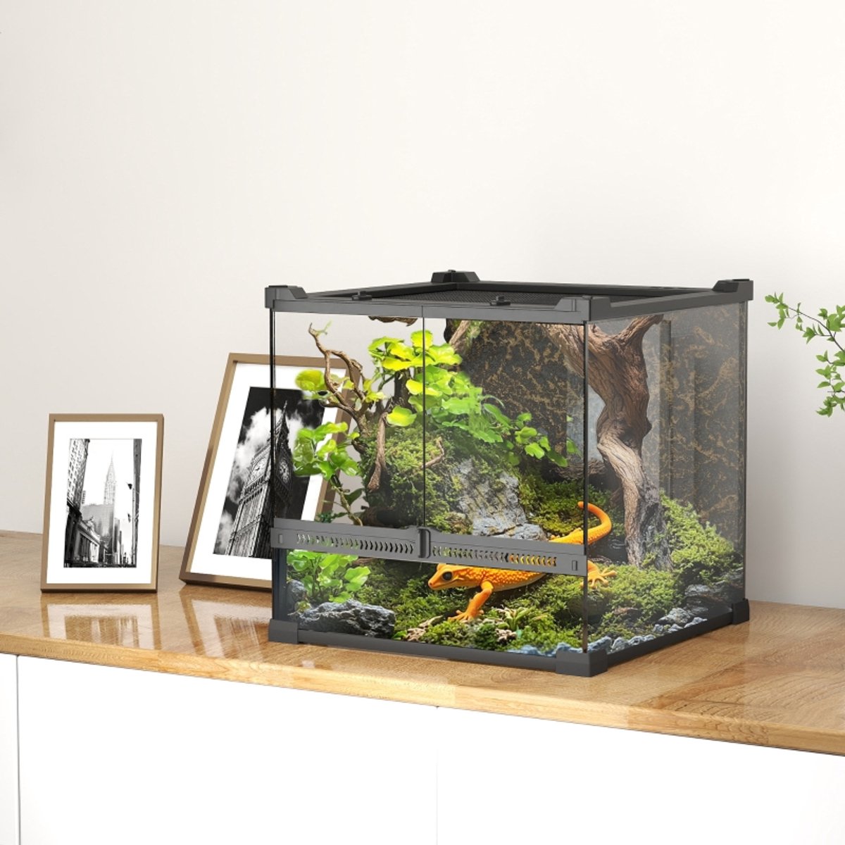 MODFU - Reptielenterrarium - Verhoogde En Waterdichte Bodem - Veilige Frontdeuren - Natuurlijke Steenlook - Gehard Glas - Zwart
