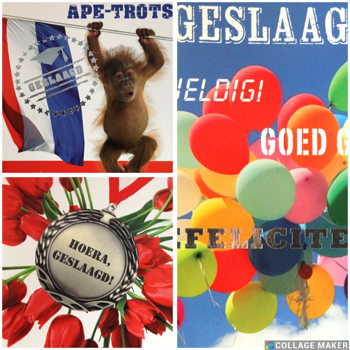 6 Luxe Geslaagd Wenskaarten - Kaart Wens Kaart Examen Geslaagd School Studie Opleiding - 3 Motieven Vierkant 14x14cm Rood Wit Blauwe Envelop - Art of Cards