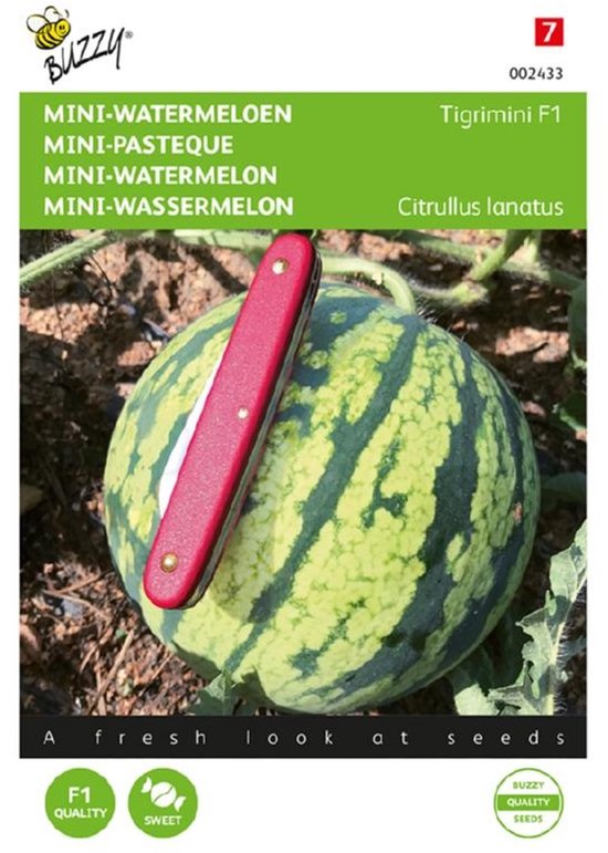 Buzzy watermeloenzaadjes – Tigrimini