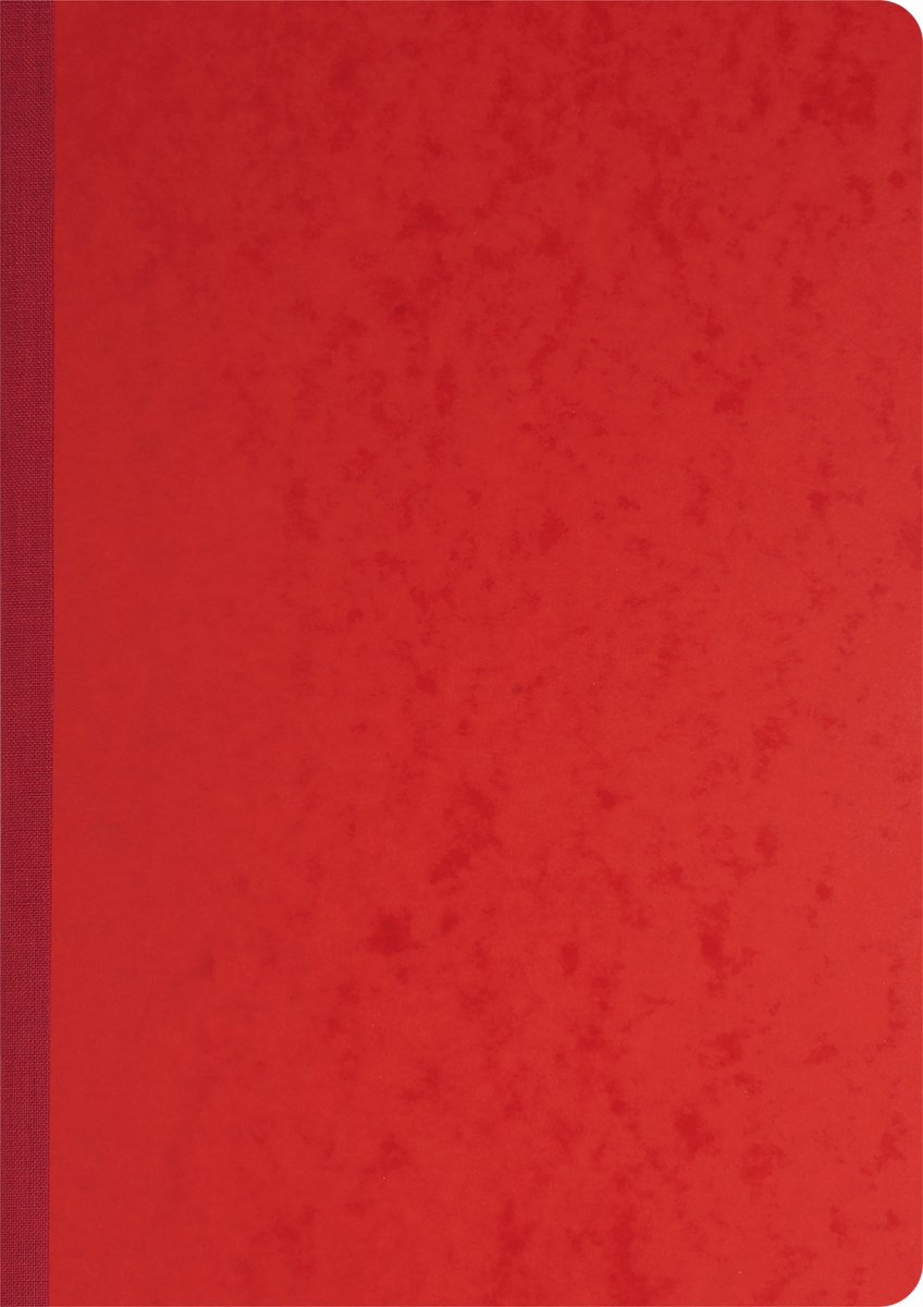 Exacompta Journaal - 29,7x21cm - genummerd - 80 blad - Geassorteerd - 400E