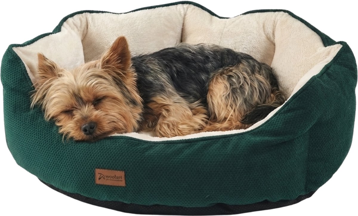 Woolart Hondenmand - Luxe Hondenkussen - Kattenmand - Wasbaar - Maat M - Groen