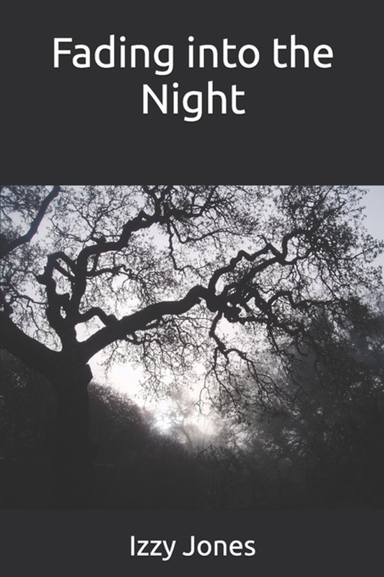Fading into the Night - cover