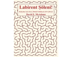 Çocuklar İçin Matematik Kitapları- Labirent Şöleni!