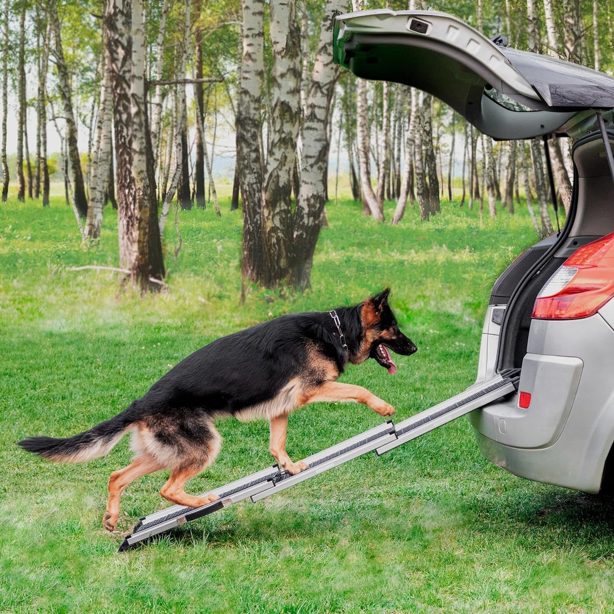 Candala Hondenloopplank voor Auto - Uitschuifbare Hondentrap Auto voor Grote Honden - Stabiel - Antislip - Reflecterende Zijkanten voor in het Donker - 90kg Capaciteit - Loopplank Hond - Sluitingsclip - Zwart