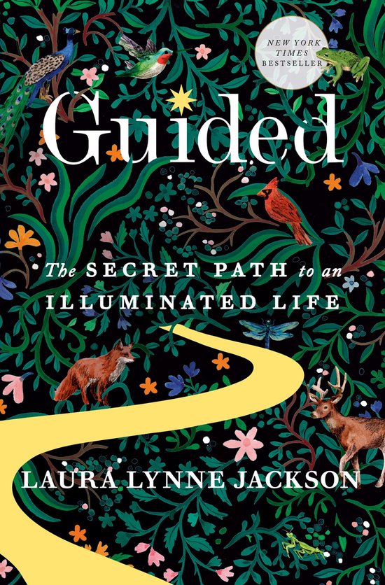 Guided - cover